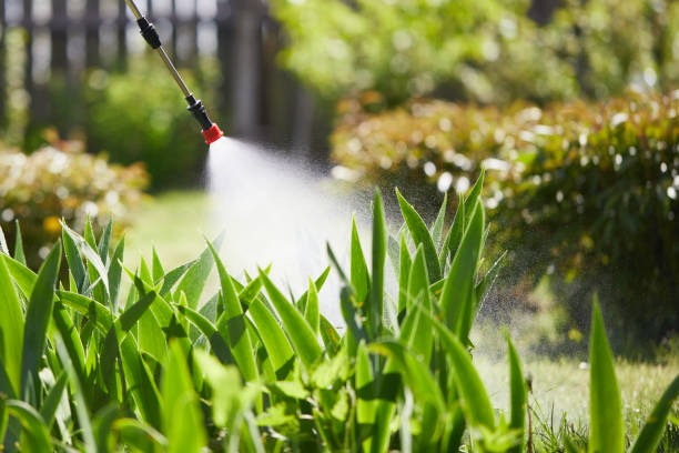 24/7 Emergency Mosquito Control experts in Ozark, AL