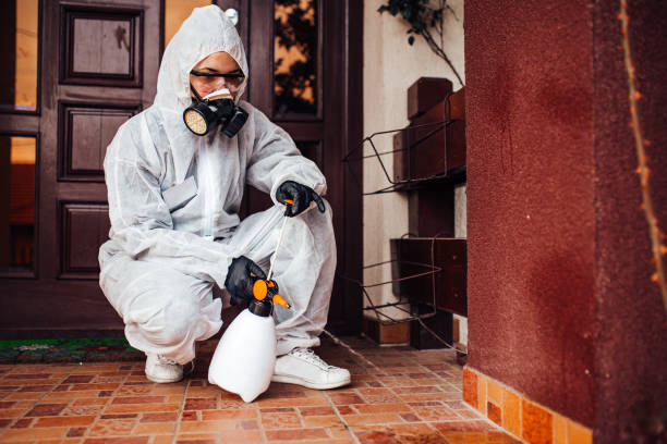 Reliable Mosquito Control contractor in Ozark, AL by Show Me Pest Control